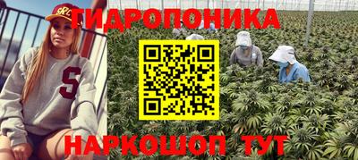 твердый Рыбинск