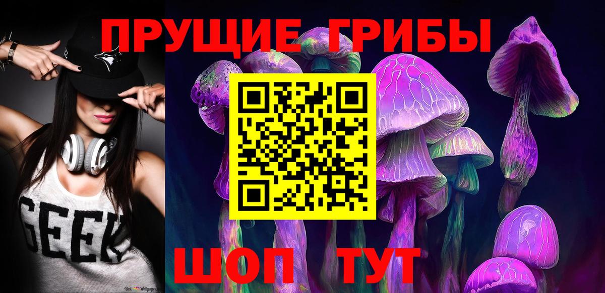 Галлюциногенные грибы Psilocybe Нововоронеж
