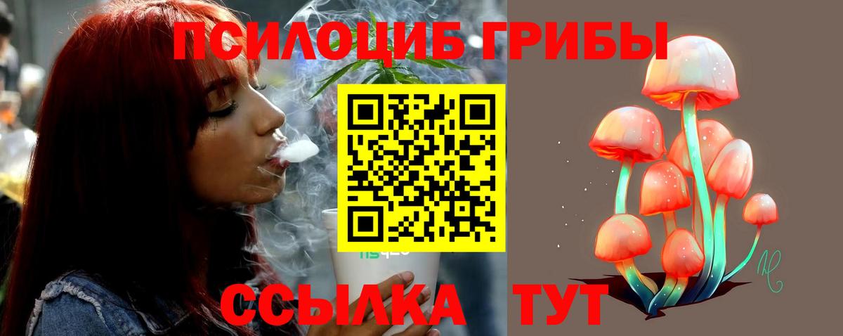 Нововоронеж  Псилоцибиновые грибы мицелий  сколько стоит  Вход с VPN 