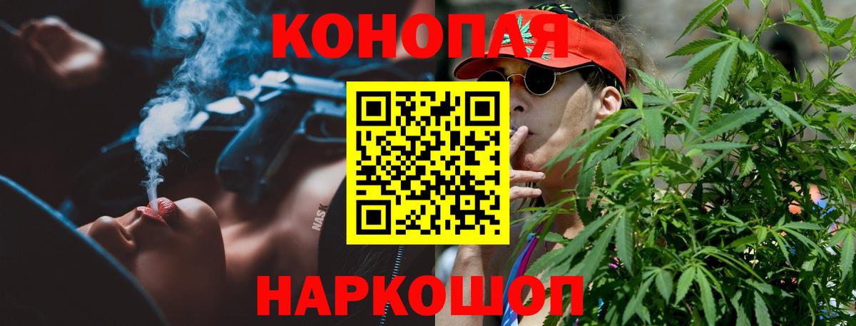 Бошки Шишки THC 21%  Вход с VPN  Бошки Шишки сатива  Нововоронеж 